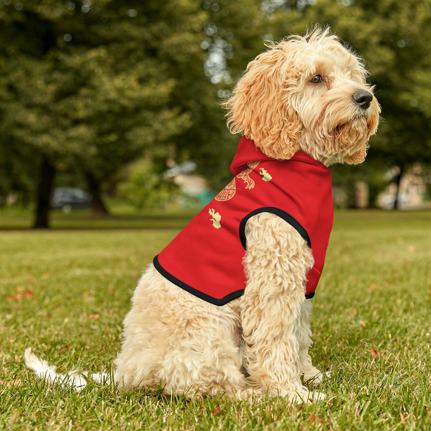 Dragon Dog Hoodie