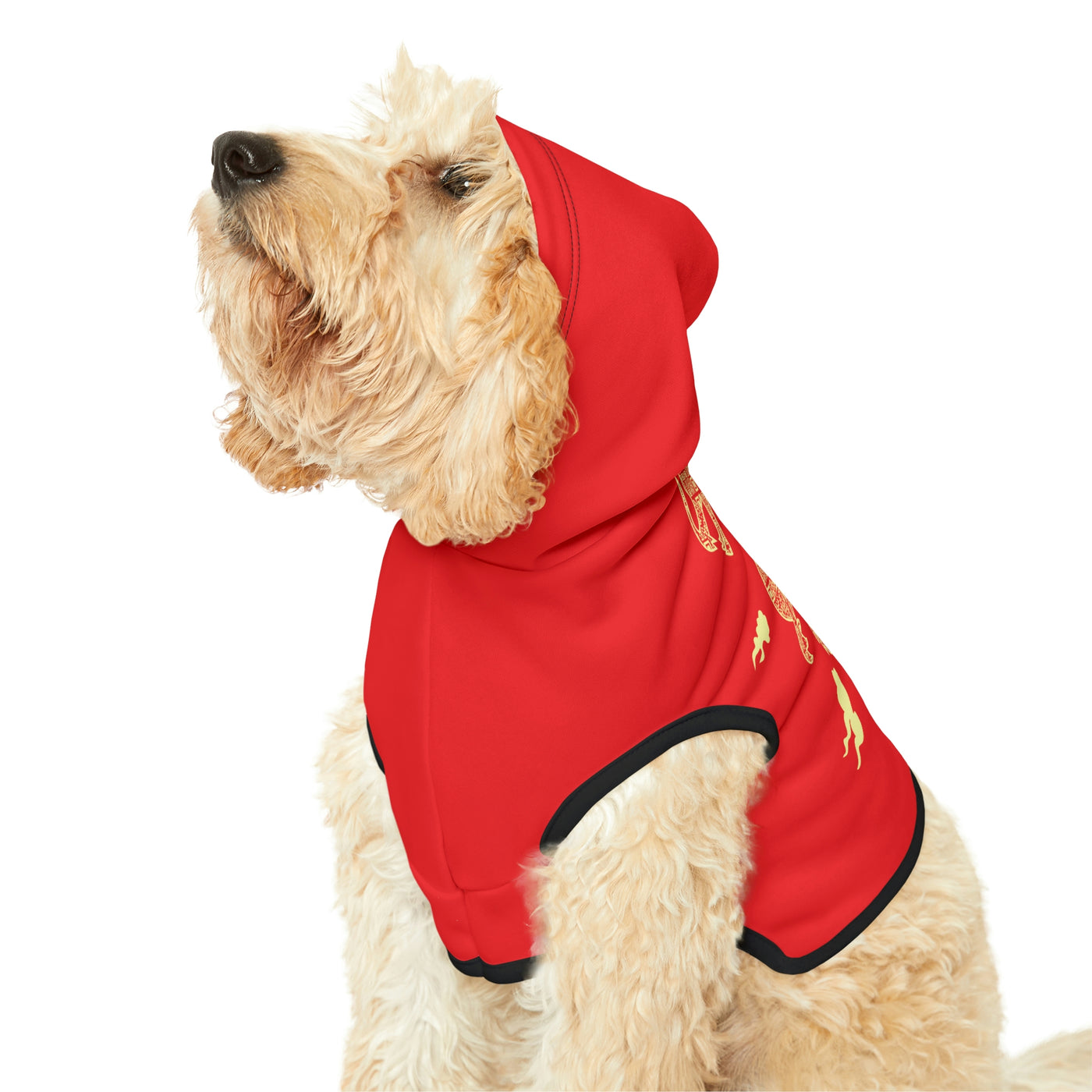 Dragon Dog Hoodie