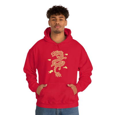 XR Reality Collection: Year of the Dragon (Unisex) Adult Hoodie